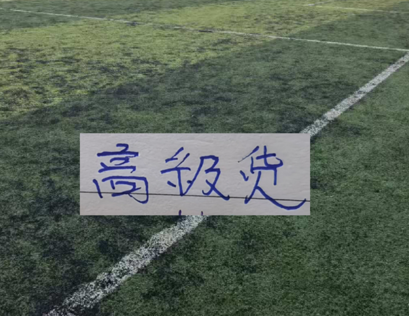 注册优惠-中超前15轮 各队代表球星！大连马莱莱打出身价